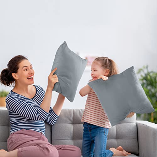 Utopia Bedding Throw Pillows Insert (Pack of 2, White) - 18 x 18 Inches Bed and Couch Pillows - Indoor Decorative Pillow
