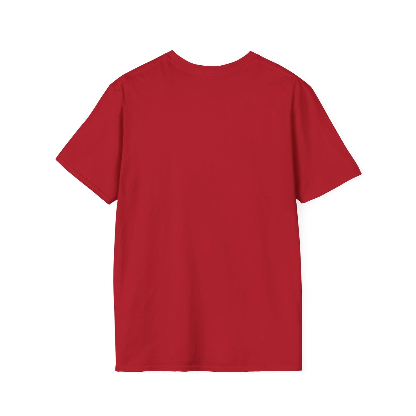 Aquarius Altruism Unisex Softstyle T-Shirt - Celestial Zodiac Tee