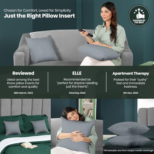 Utopia Bedding Throw Pillows Insert (Pack of 2, White) - 18 x 18 Inches Bed and Couch Pillows - Indoor Decorative Pillow
