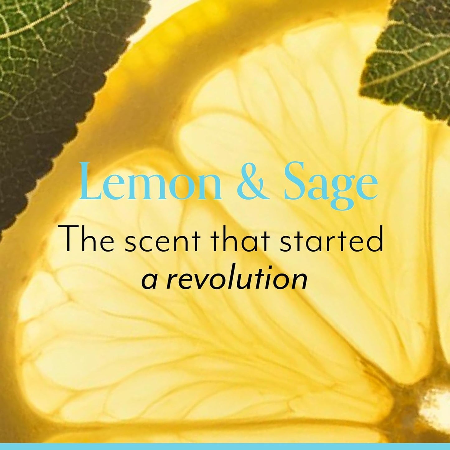 Bliss Lemon Love Exfoliating Duo: Soapy Suds Body Wash & Body Scrub with Shea Butter and Coconut Oil - Lemon and Sage - 17 Fl Oz - Gentle and Hydrating for Supremely Soft Skin