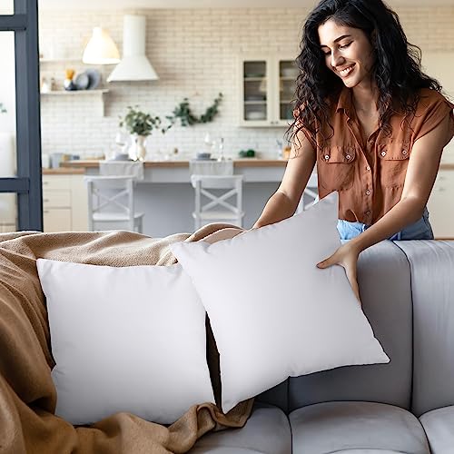 Utopia Bedding Throw Pillows Insert (Pack of 2, White) - 18 x 18 Inches Bed and Couch Pillows - Indoor Decorative Pillow