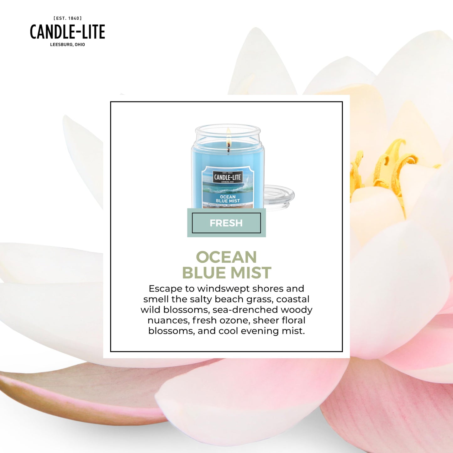 Candle-lite Scented Candles, Creamy Vanilla Swirl, 18 oz Jar, Proudly Poured in The USA, Aromatherapy Candle, Single-Wick with 110 Hours of Burn Time, Perfect for Creating a Relaxing Ambiance