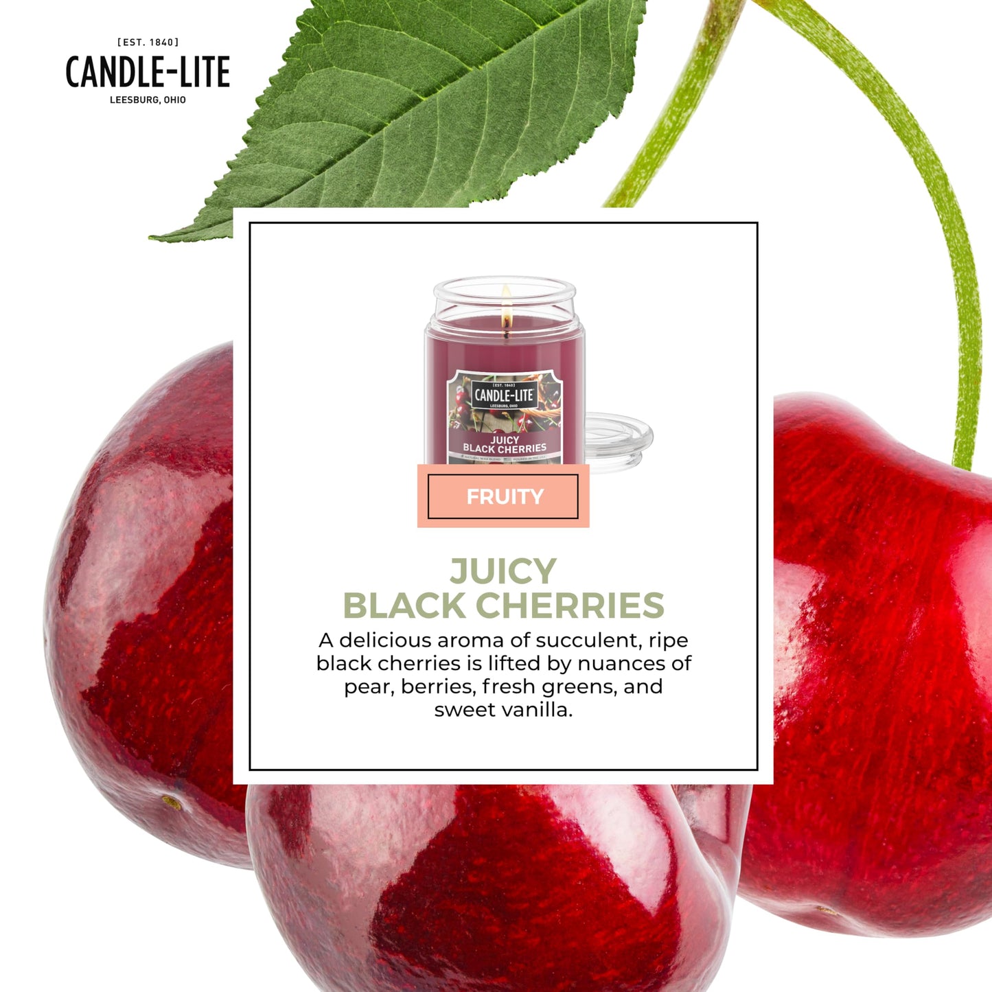 Candle-lite Scented Candles, Creamy Vanilla Swirl, 18 oz Jar, Proudly Poured in The USA, Aromatherapy Candle, Single-Wick with 110 Hours of Burn Time, Perfect for Creating a Relaxing Ambiance